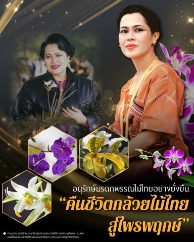 อนุรักษ์มรดกพรรณไม้ไทยอย่างยั่งยืน “คืนชีวิตกล้วยไม้ไทยสู่ไพรพฤกษ์”